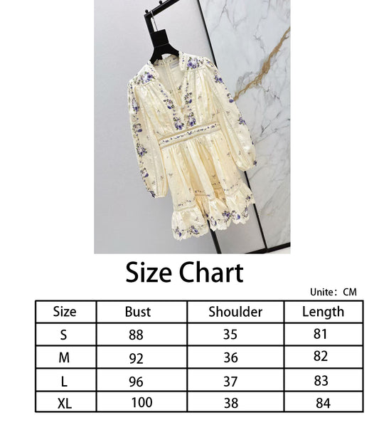 Zimm NEW embroidery dress