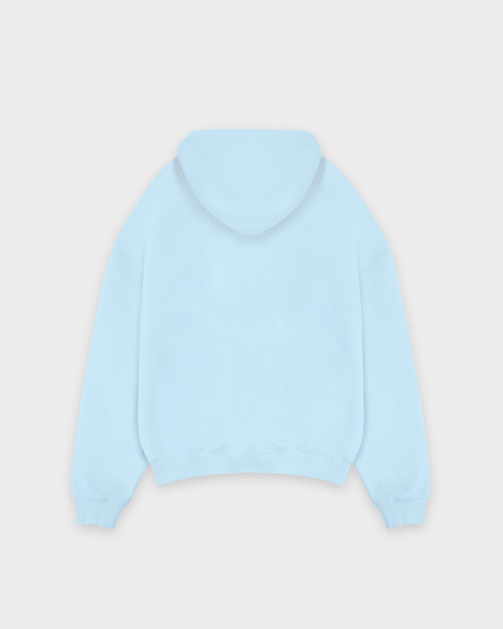 Heavy Babyblue Basic Zip Hoodie