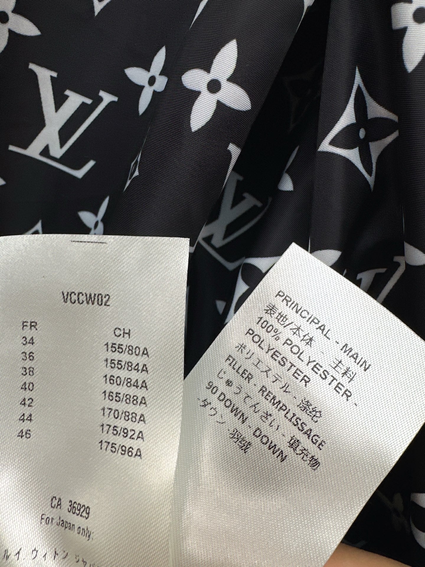 Louis NEW Hooded down jacket