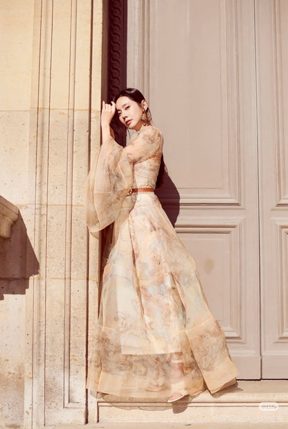 Zimm NEW silk printed dress