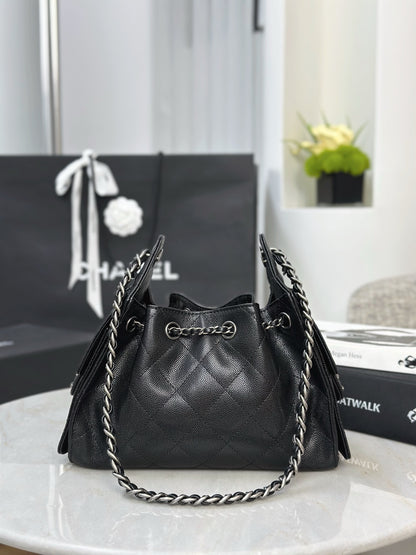 Chan NEW 25S hobo bag