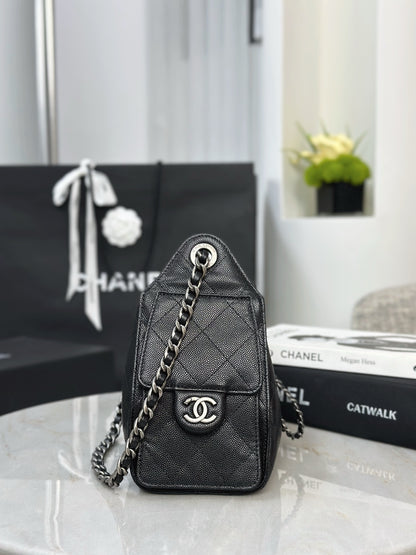 Chan NEW 25S hobo bag