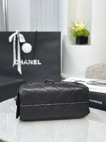 Chan NEW 25S hobo bag