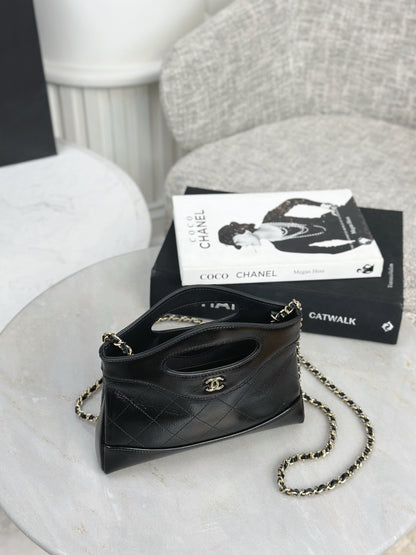 Chan NEW 31bag nano shoulder bags